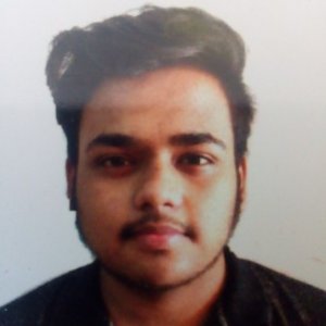Profile photo of Shubhankar Srivastava